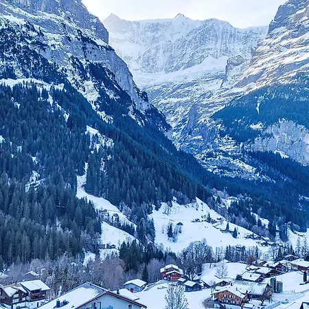 Mila By Interhome Γκρίντελβαλντ