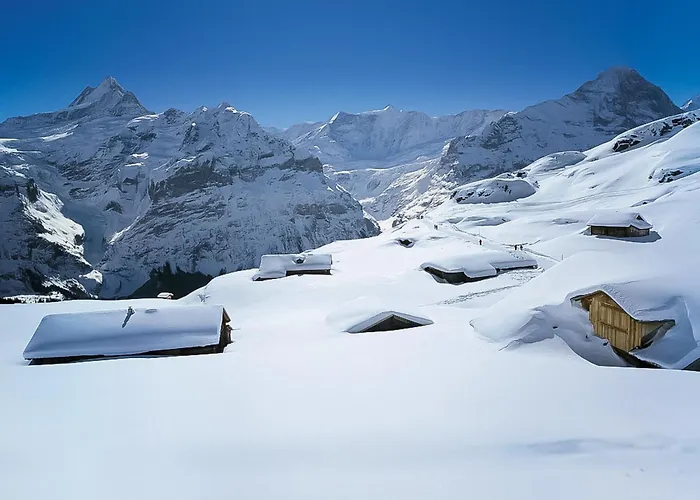 Mila By Interhome Apartman Grindelwald